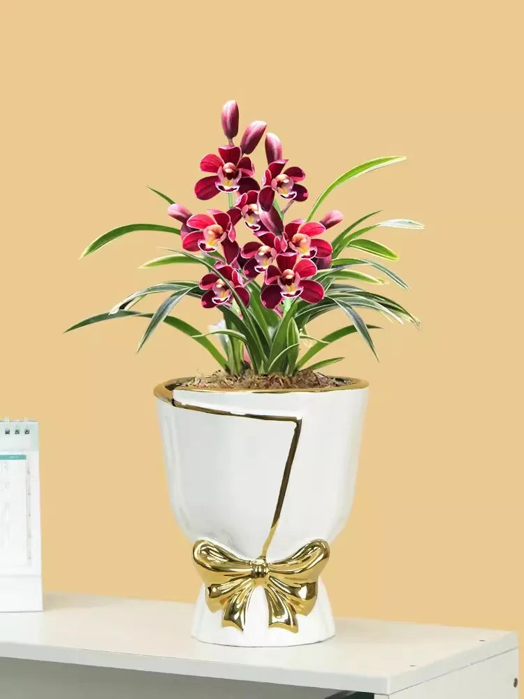 Nordic New Style Plantes de vase en céramique Pots Bonsaï Décoration de la maison Personnalité créative Tulip gros pots
