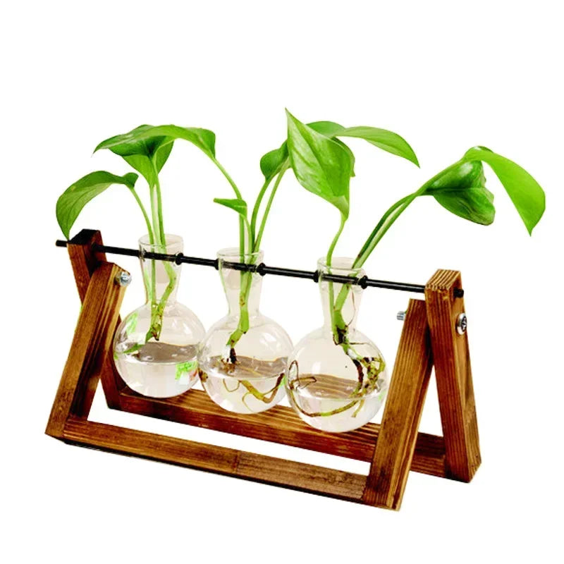 Decorazioni bonsai vaso fiorito pianta trasparente vaso in legno decorazione decorazione in vetro tavolo da tavolo a forma di fiori ciotola