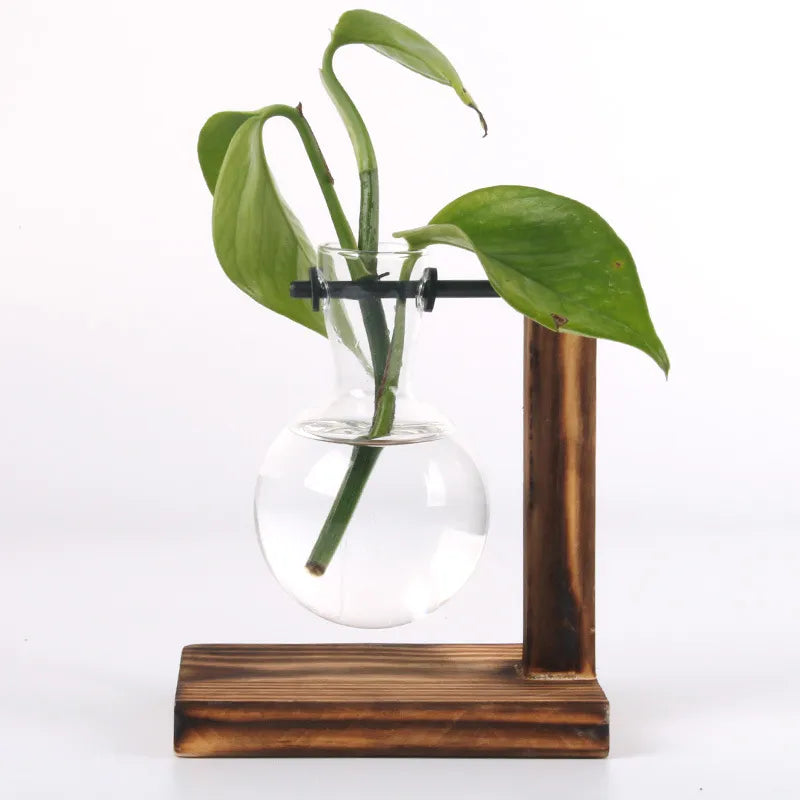Hydroponická rostlinná terarium vasevase dekorace domácí skleněná láhev hydroponická dekorace na plochu Office Green Plant Small květináč