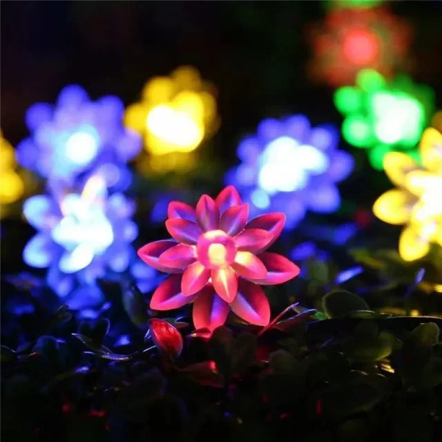 10m/7m güneş ipi Noel ışıkları açık 100/50/20led 8mode su geçirmez çiçek bahçesi çiçeği aydınlatma partisi ev dekorasyon
