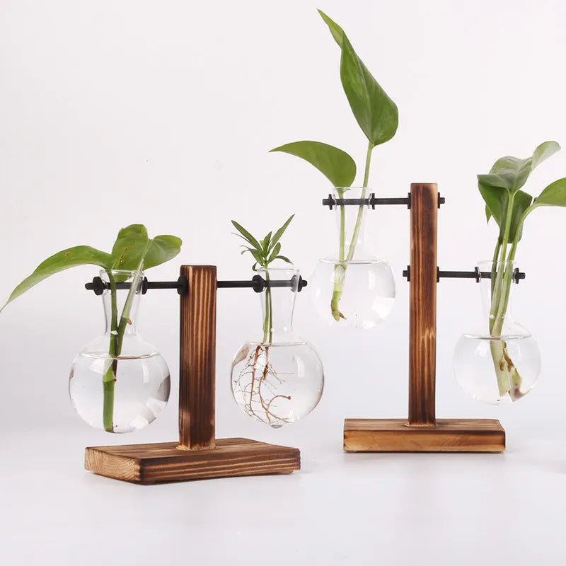 Hydroponisk plante terrarium vase vase dekoration hjemme glas flaske hydroponic desktop dekoration kontor grøn plante lille potte