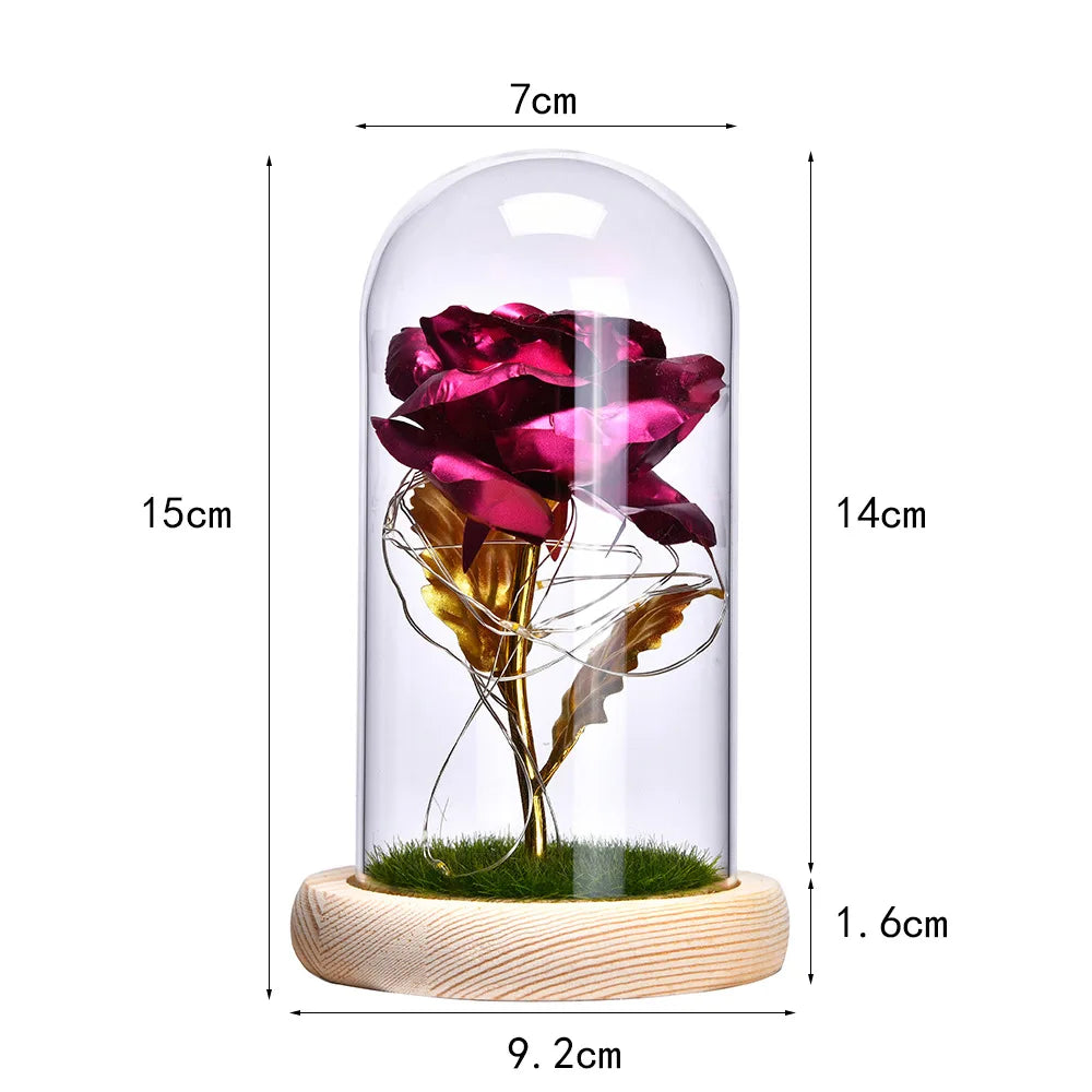 Valentines Day Gift for Girlfriend Eternal Sunflower LED Light Dried Flower In Glass Cover Mothers Day & Wedding Favors Gift